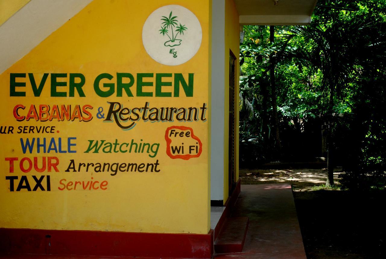 Ever Green 米瑞莎 外观 照片